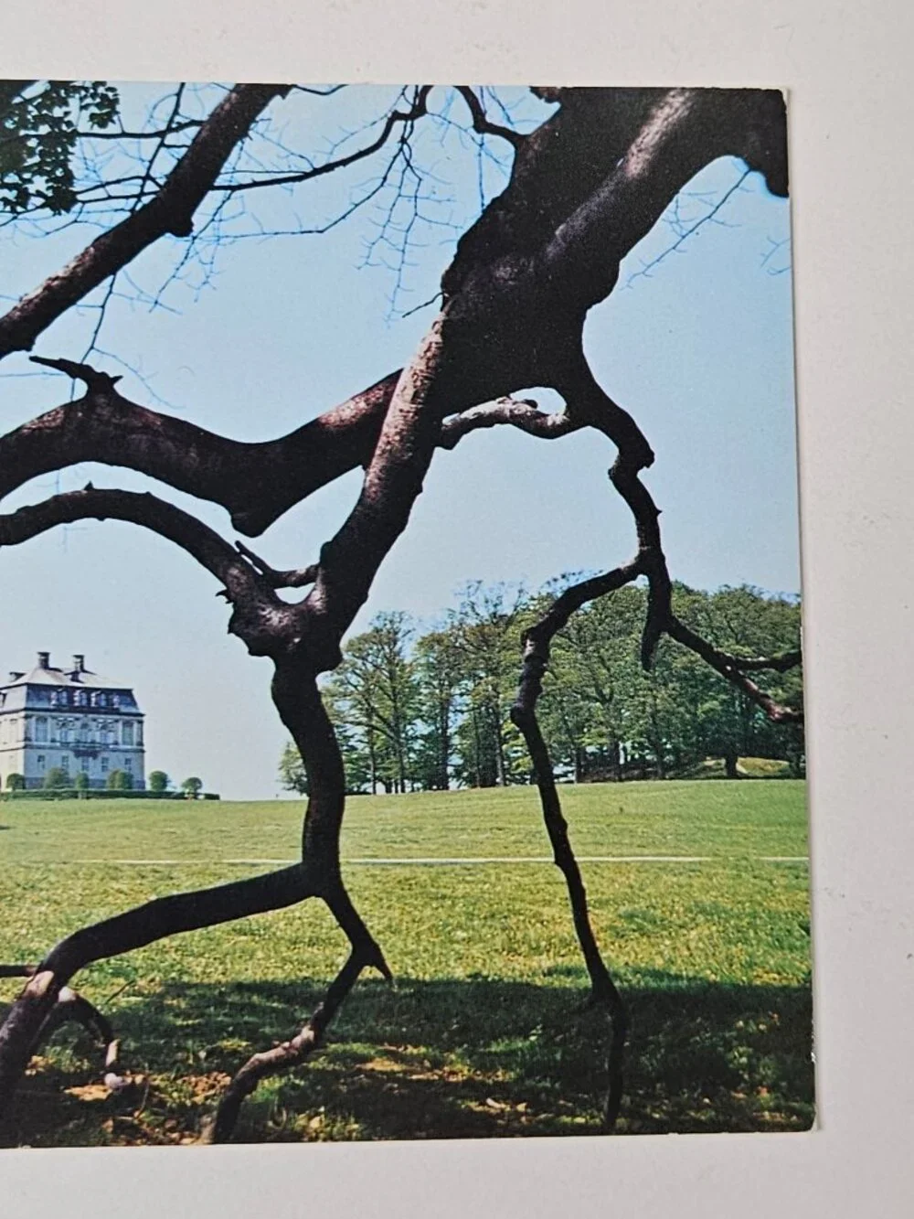Kopenhagen The Deer Park and The Eremitage Postcard